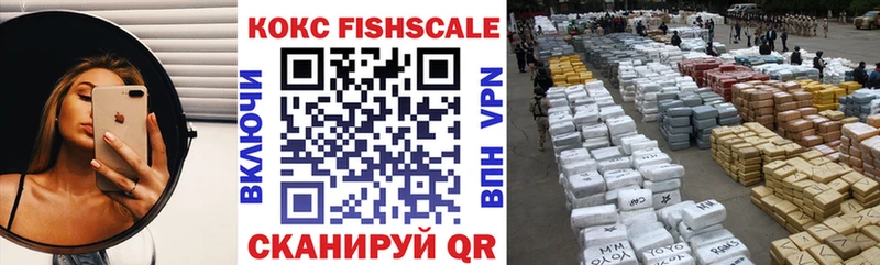 Cocaine FishScale  Купить закладки  Мелеуз 