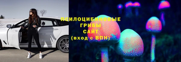 твердый Новокубанск