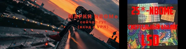 твердый Новокубанск