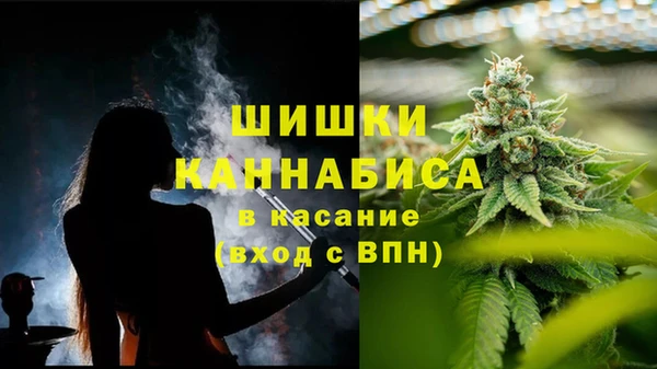твердый Новокубанск